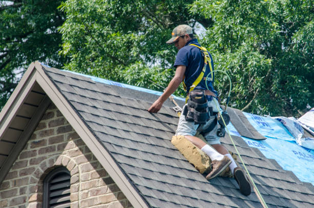 Best Metal Roofing Contractor  in Ruch, OR